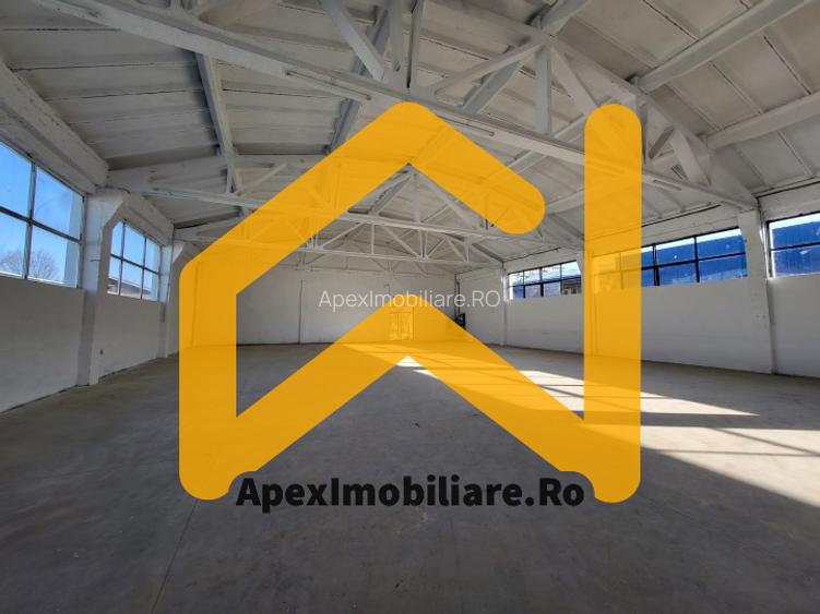 Hala Industriala Xenia – 1800 mp, Acces TIR, Parcare 50 Auto - 21