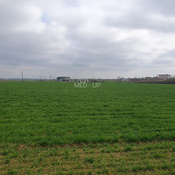 Tâncăbești -Ilfov suprafață 4500 mp - 5