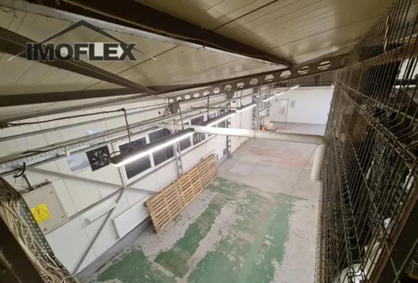 Spatiu comercial de inchiriat (productie si birouri sau doar birouri) - 5