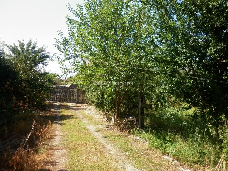 Vidra, teren intravilan 4.800 mp (sau 1.200 mp) - 3