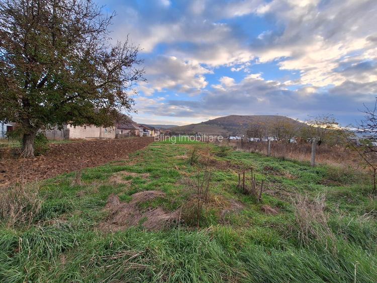 Casa individuala de vanzare cu livada si teren generos in Luna de Sus - 6