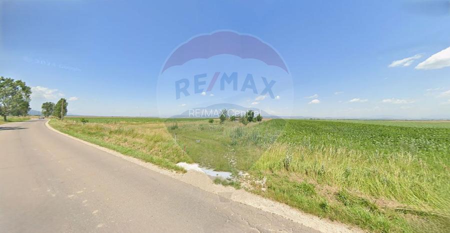 Teren extravilan 2 parcele de 9.750 mp - Satul Nou, comuna Hălchiu - 2
