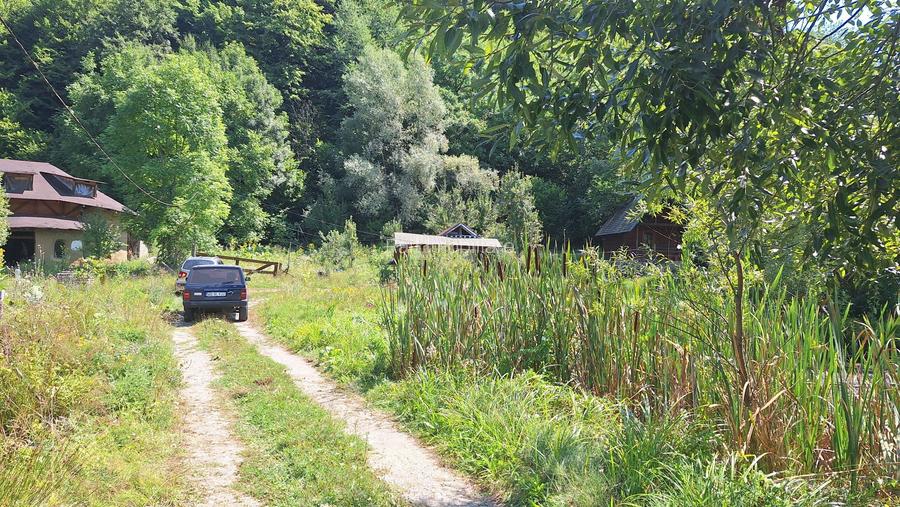 VANZARE ANSAMBLU CASUTE BRADULET ARGES - 23