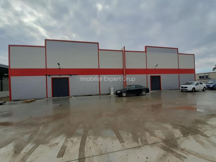 Hale noi in zona industriala Progresul, Jilava - 12