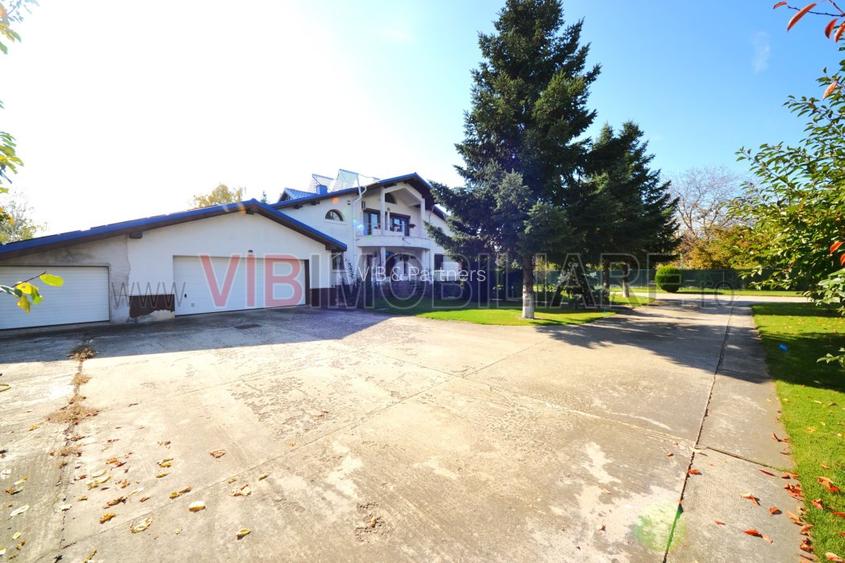 DOMENIU REZIDENȚIAL PRIVAT - Otopeni, Drumul Odaii - 3