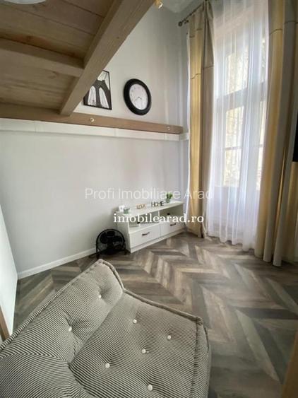 Apartament 60 Euro pe zi, amenajat in stil unic langa Primaria Arad - 17
