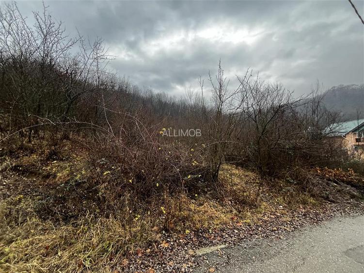 Teren intravilan 653 mp in Boldesti-Scaeni. - 7