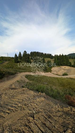 OFERTA! 11 Parcele teren intravilan-Piatra Fantanele, Castel Dracula - 5