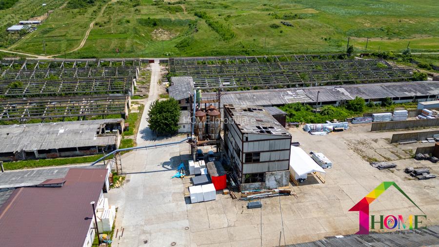 Teren 100.000 mp + Spatii Industriale Bacau - 3