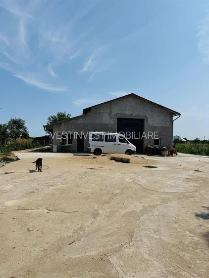 Hala 373 mp + teren in Santaul Mic - 3