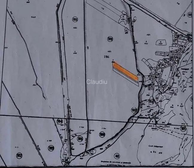 Teren Extravilan Voinigești, Gorj - 3