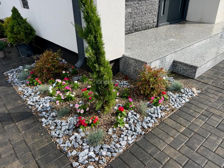 Case premium+++  180mp+22mp terasa.  strejnicu  245000tva inclus! - 7