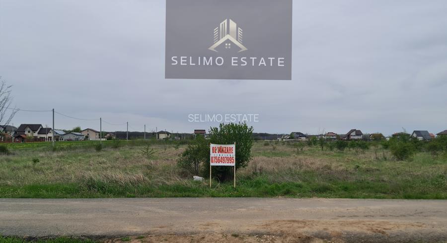 Vanzare | Teren Intravilan 6500 mp | Str. Macului | - 3