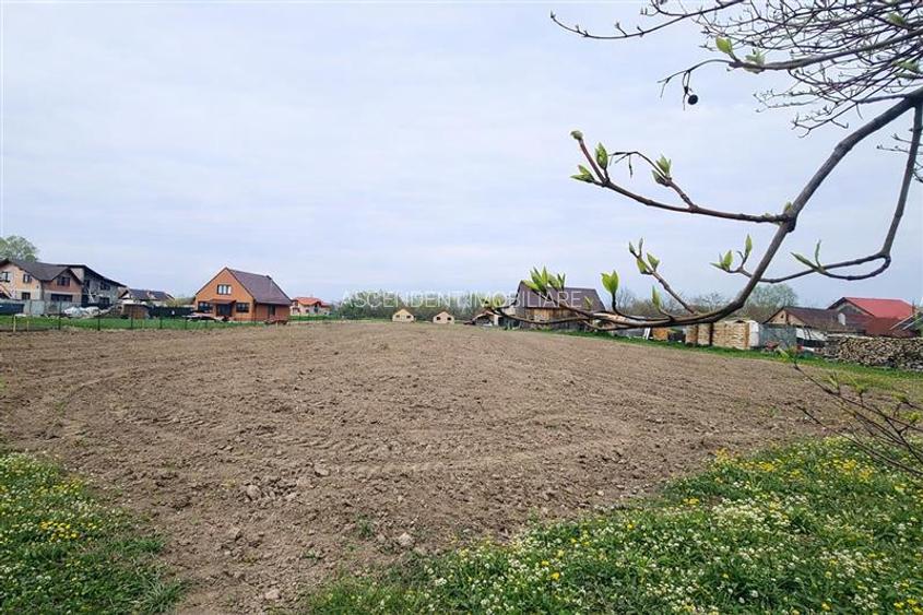 1.700mp intravilan,acces usor,intre case,ideal 2 locuinte/investitie,Lunca Calni - 2