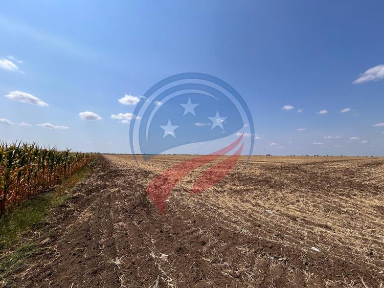 Teren intravilan de vanzare in Pielesti