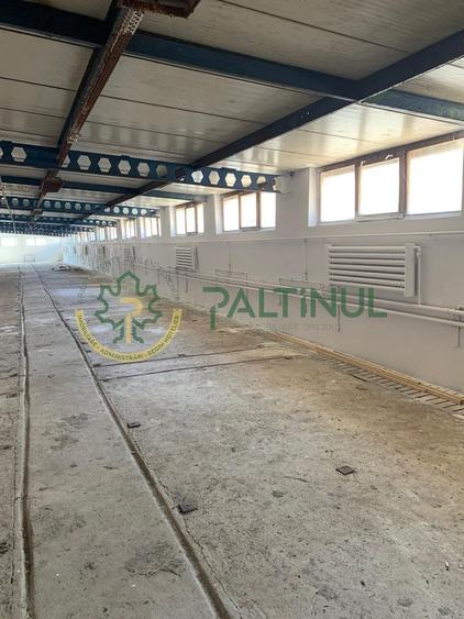 Spațiu depozitare 700 mp în Cristian, Sibiu – 3 km de Aeroport