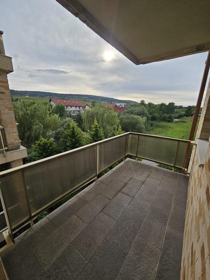 Inchiriez apartament tip studio cu garaj si anexa, Str. Terra, Cluj Napoca