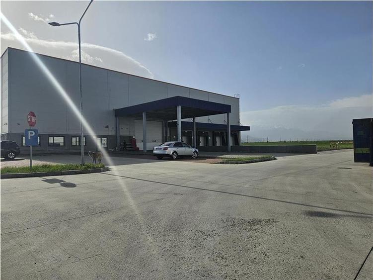 Spatii Industriale - 15000 mp - Logistica - Depozitare - Productie