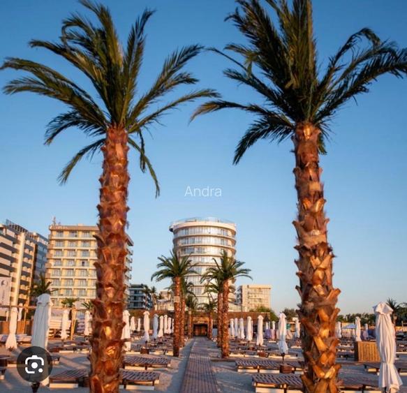 Studio Lux prima linie la mare in White Tower Mamaia - 13