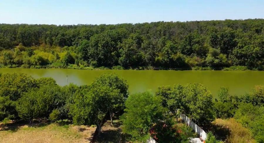 BRANESTI-VILA SUPERBISSIMA,LA LAC,PISCINA,FANTASTICA,UNICAT,700000 EURO