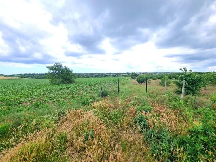 OVIDIU - teren extravilan 4000 mp cu racord apa