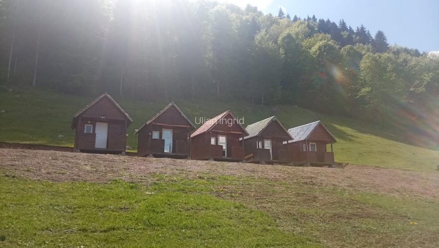 Domeniu Retreat Ecologic  - 3