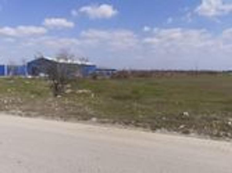 Teren intravilan 10.000 -38.000 mp industrial 1 Decembrie- DN5 stradal