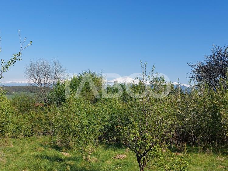 Teren 3445 mp intravilan front 26 m utilitati in zona in Cisnadie