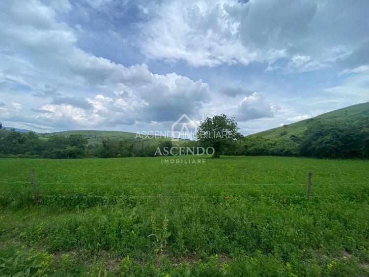 Domeniu 15.900 mp în Fințești | Casă + Investiție Dealu Mare - 12