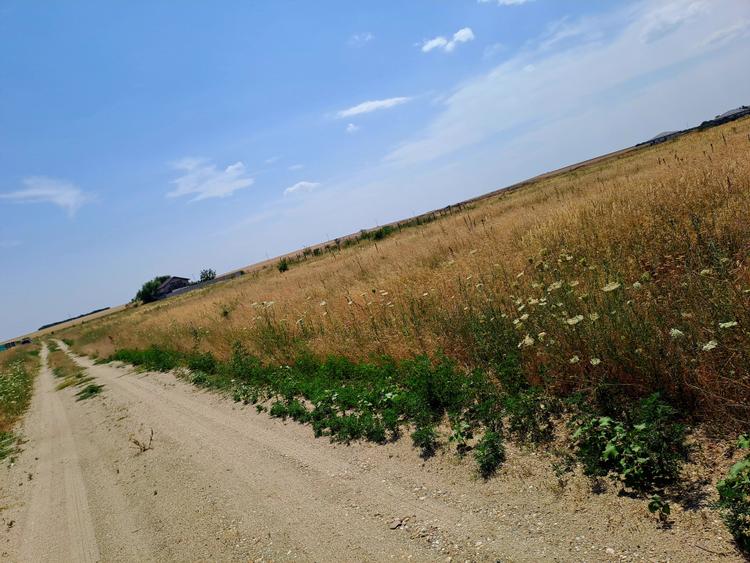 Teren intravilan Carcea , 415 mp , cu front stradal 14,78 m