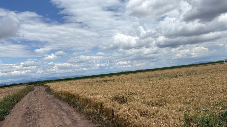 BRASOV,Teren agricol 19.600 mp, 1,96 ha/ Săcele,Front stradal 56 ml,Investiție - 3
