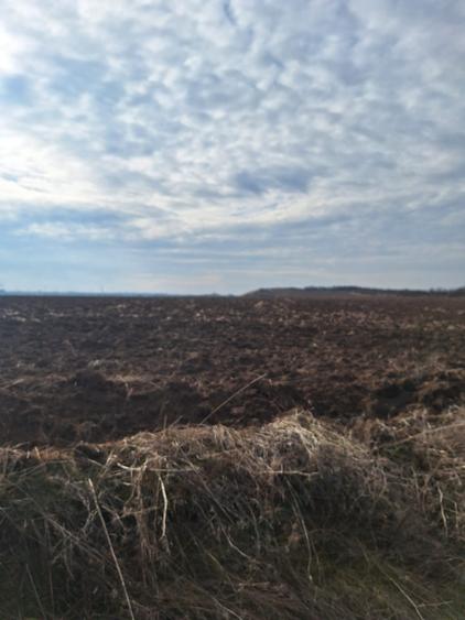 Teren extravilan de vanzare in suprafata de 15800 mp in Salistea, judet Alba
