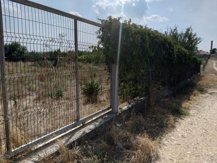 Poiana- str. Cerealelor, teren intravilan curti constructii 3417 mp de vanzare