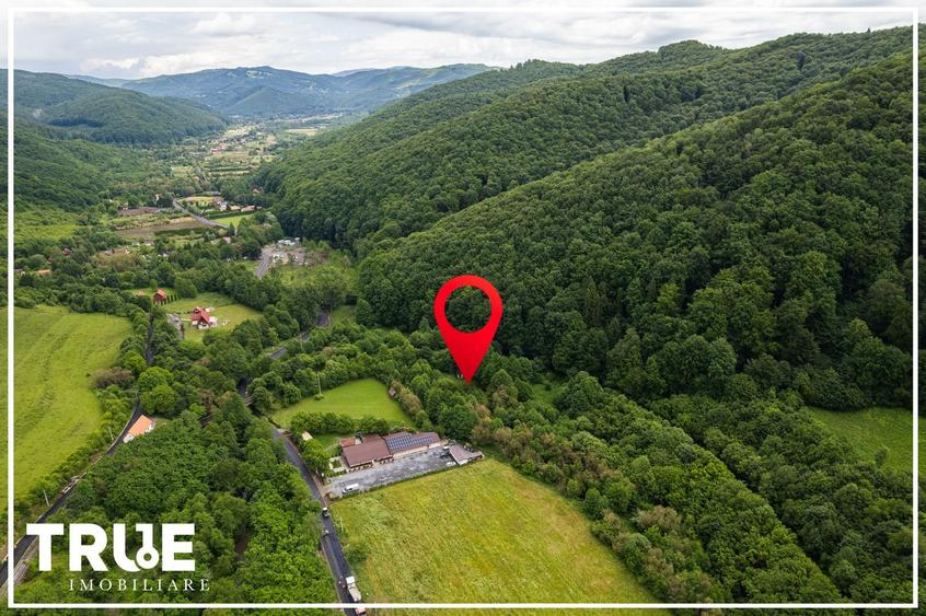 Teren intravilan 2.800 m² în Câmpu Cetății – liniște și natură