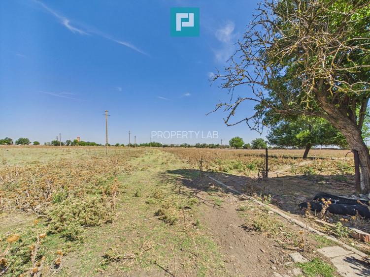 Teren intravilan 146.866 mp | Jimbolia - 13