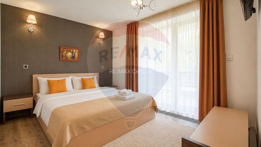 Apartament Premium | Silver Mountain| Regim Hotelier | SPA &Piscină. - 7
