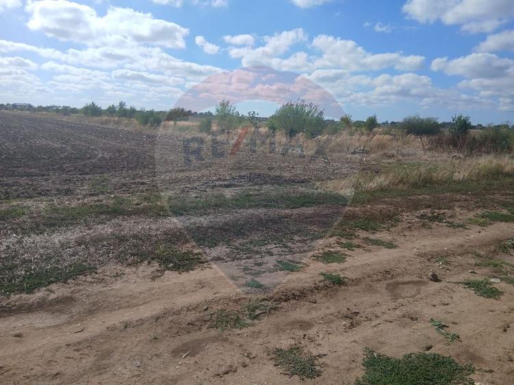Teren de vanzare 4500mp Strada Rasaritului Darvari Ciorogarla A0