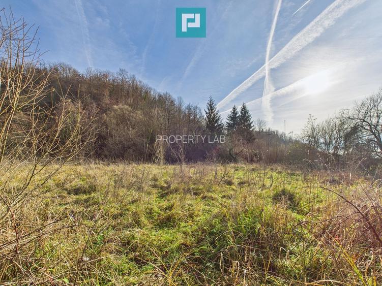 Casă P+E+M cu teren 8163 mp – Roșia Nouă (Petriș) - 13