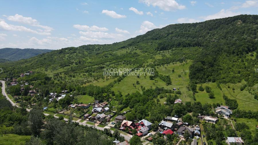 Teren spectaculos cu padure, livada si priveliste panoramica in Soimari PH - 3