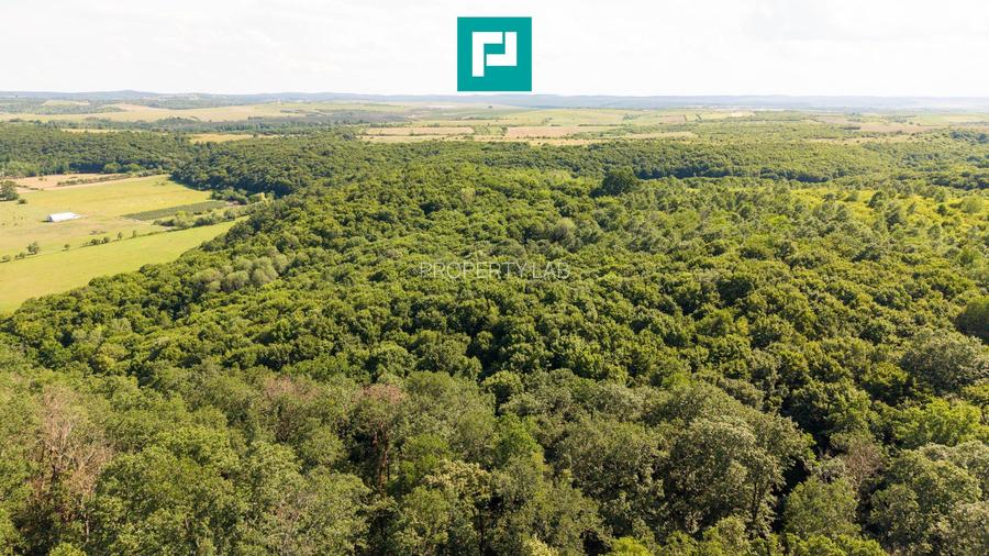 TEREN AGRICOL EXTRAVILAN  22.900 MP LIPOVA - 8