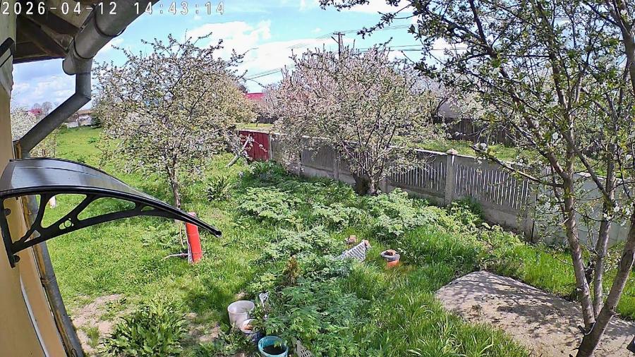 Proprietar,casa renovata ,teren 2000 mp deschidere 113 m,Farcasele Olt