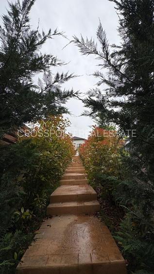 Vilă cu Deschidere la Lac | Snagov – Ciofliceni | Teren 617 mp - 8