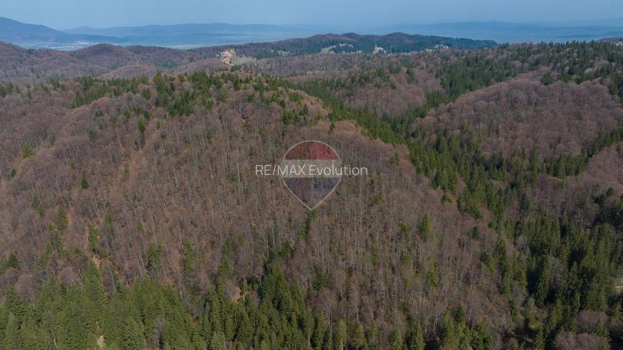 Teren intravilan, 56000 mp, Poiana Brașov - 12