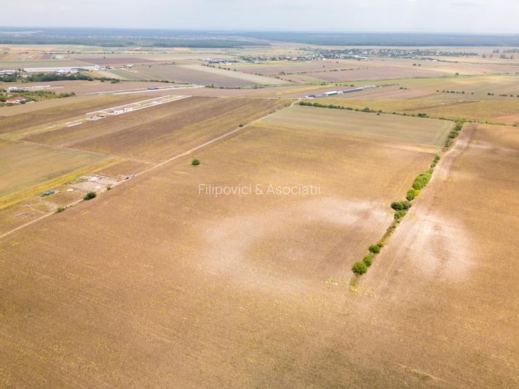DASCALU – TEREN INTRAVILAN 11300 MP, INVESTITIE! - 8