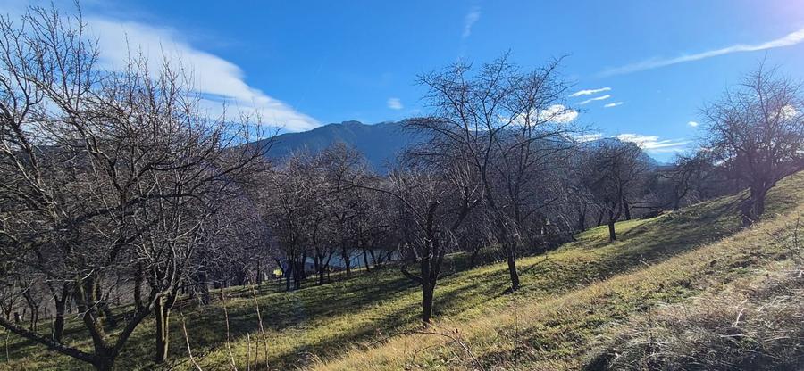 Teren intravilan Sohodol, priveliste catre Bucegi, Piatra Craiului,Magura Codlei