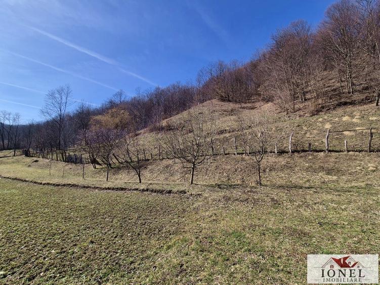 Casa de vanzare/schimb in Metes - Presaca Ampoiului