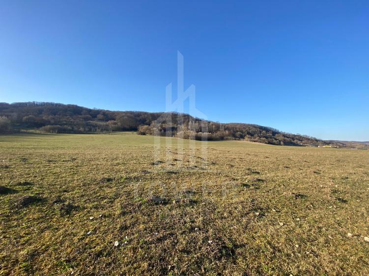 Teren de 7.500 mp de vânzare în Bradu, Avrig-COMISION 0% – lângă râul Olt.