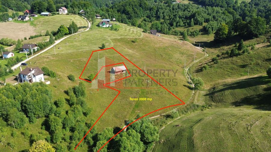 Teren intravilan 3.908 mp în Ciocanu – vedere panoramică spre Munții Bucegi