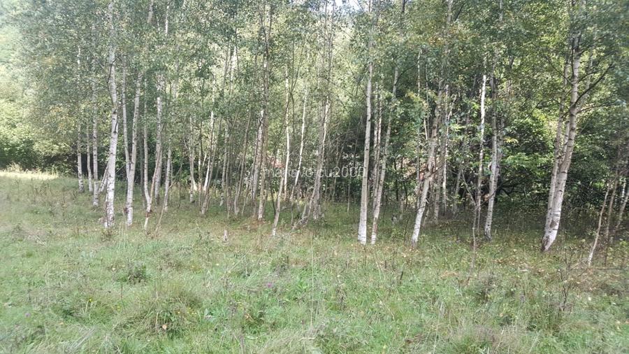     Teren intravilan într-una dintre cele mai frumoase zone montane din România - 3