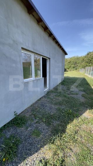 Spațiu comercial si depozit, 60 mp, curte de 500 mp, parcare, zona Albota